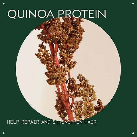 Image 2 - A close-up of a quinoa plant with reddish-brown stalks and small brown grains is shown on a dark green background with text that reads Quinoa Protein Help Repair and Strengthen Hair. Image 3 - A cream-colored AVEDA Damage Remedy Intensive Restructuring Treatment tube with a dark grey label section is displayed against a blurred green background, stating STRENGTHENS HAIR WITH DEEP REPAIR, and the tube itself reads AVEDA, THE ART AND SCIENCE OF PURE FLOWER AND PLANT ESSENCES, damage remedy™, intensive restructuring treatment, strengthens hair with deep visible repair, traitement restructurant en profondeur, renforce les cheveux et répare visiblement en profondeur, with a small plant-based logo. Image 4 - A dollop of thick, white cream or lotion with a smooth, slightly ridged texture and subtle shadows, on a plain white background. Image 5 - A dark green background displays a cream and brown tube of Aveda Damage Remedy intensive restructuring treatment on the left, next to usage instructions on the right, with visible text reading HOW TO USE, Aveda The Art and Science of Pure Flower and Plant Essences, damage remedy intensive restructuring treatment, strengthens hair with deep visible repair, traitement restructurant en profondeur, renforce les cheveux et répare visiblement en profondeur, After shampooing, smooth evenly through damp hair from roots to ends, Leave in 2 - 5 minutes, Rinse thoroughly. Image 6 - Three white certification logos are displayed on a dark green leafy background: a 100% Vegan logo with a large V, a Certified B Corporation logo with a capital B in a circle, and a Cruelty Free International logo featuring a leaping bunny.