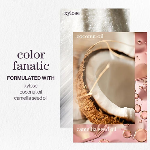 Image 1 - Image shows a graphic with three main sections: the top section displays the word xylose on a shimmering silver background, the middle section features a close-up of a coconut slice with the text coconut oil, and the bottom section has a pink background with bubbles and the text camellia seed oil, along with the phrase color fanatic formulated with xylose, coconut oil, camellia seed oil.
Image 2 - A spray bottle of Pureology Color Fanatic with a gradient label, alongside a customer review featuring five stars that reads Would recommend! Love this spray, got recommended by hairdresser a few years ago and I have been using it religiously since! LOOKFANTASTIC VERIFIED CUSTOMER REVIEW.
Image 3 - Image shows a blurred background with bubbles, featuring the text pro favourite in large font above a quote by Neil Moodie discussing a hair products benefits, followed by PUREOLOGY UKI AMBASSADOR.
Image 4 - A spray bottle of Pureology Color Fanatic Leave-In Treatment is displayed with visible text detailing its benefits including detangling, moisturizing, heat protection, smoothing frizz, and adding shine.
Image 5 - A collage featuring three images: the left shows a textured wood surface labeled cedarwood, the center displays a close-up of a pink rose with visible petals, and the right features slices of ginger labeled ginger, with text at the bottom reading color fanatic and beneath blossoming trees with notes of cedarwood, rose, ginger.
Image 6 - Image showing two sections with icons and text: the top section reads vegan formulas with a description stating sulfate-free for a gentle cleanse; the bottom section reads recycled bottles with a description stating made from post-consumer recycled materials.