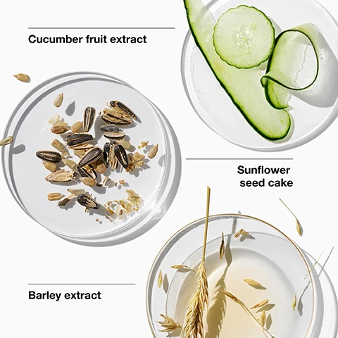 image 1, cucumber fruit extract. sunflower seed cake. barley extract. image 2, hydrate and strengthen. image 3, free of fragrance, oil, drying alcohol, sodium lauryl sulfate, sodium laureth sulfate.