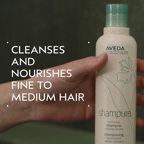 Image 2 - A hand holds a white Aveda Shampure shampoo bottle with a light green cap and a floral design, with text on the left stating CLEANSES AND NOURISHES FINE TO MEDIUM HAIR, and bottle labels reading AVEDA THE ART AND SCIENCE OF PURE FLOWER AND PLANT ESSENCES, shampure, nurturing shampoo calming aroma, and shampooing nourrissant arôme calmant. Image 3 - A before and after image shows a woman with shoulder-length reddish-brown hair; on the left, her hair is flat, and on the right, it is styled with waves and more volume, with visible text reading BEFORE, AFTER, Unwashed Hair, Results with Shampure Nurturing Shampoo and Conditioner, Smooth Infusion Style-Prep Smoother, Control Paste and Control Force, Blow dried hair. Image 4 - The image shows a dark green background with a light blue-green circular overlay featuring sprigs of purple lavender, white blossoms, and yellow-green ylang-ylang flowers with leaves, accompanied by the text Power Your Peace and A calming aroma with a blend of 25 pure flower and plant essences including lavender, petitgrain, and ylang ylang. Image 5 - The image displays a four-step hair care guide titled HOW TO USE, showing a person washing hair for 01 CLEANSE Shampure™ Nurturing Shampoo, a hand dispensing product for 02 CONDITION Shampure™ Nurturing Conditioner, a hand holding a bottle for 03 PREP Smooth Infusion Style-Prep™ Smoother, and a hand holding a hairspray can for 04 STYLE Control Paste and Control Force. Image 6 - A white, foamy cream is swatched on a light gray background, with a separate small dollop of foam above it. Image 7 - A close-up of green leaves with a red plant stem shows three white certification logos: a circular logo with a large V and the text 100% VEGAN, a B Corp certification logo with a large B in a circle and the text Certified Corporation, and a Cruelty Free International leaping bunny logo with stars and the text Cruelty Free INTERNATIONAL.