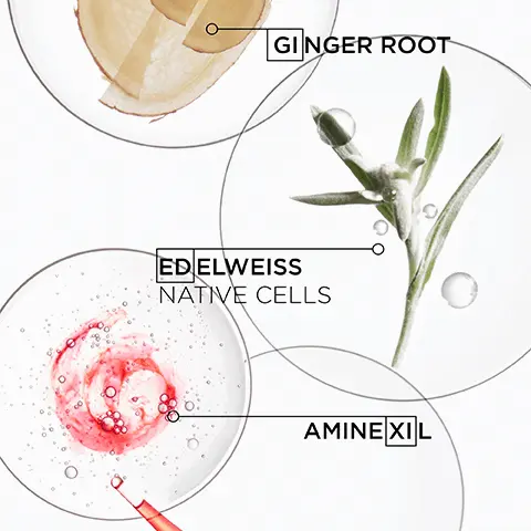 Image 1, GINGER ROOT EDELWEISS NATIVE CELLS AMINE XIL Image 2, ANTI HAIR-FALL FORTIFYING SHAMPOO KÉRASTASE PARTS K GENESIS WEAKENED HAIR PRONE TO FALLING DUE TO BREAKAGE Image 3, FORTIFYING CONDITIONER KÉRASTASE PARIS K- GENESIS FONDANT RENFORCATEUR WEAKENED HAIR PRONE TO FALLING DUE TO BREAKAGE Image 4, GENESIS UP TO 84% LESS HAIR-FALL DUE TO BREAKAGE* MORE FIBRE STRENGTH** MORE HAIR RESILIENCE**