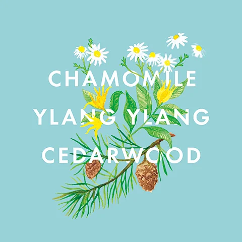 chamomile, ylang ylang, cedarwood.