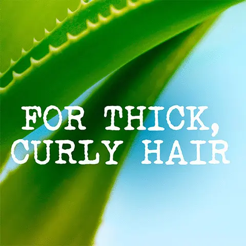 Image 1, for thick, curly hair. Image 2, consumer feedback. Image 3, detangle, defrizz and define curls