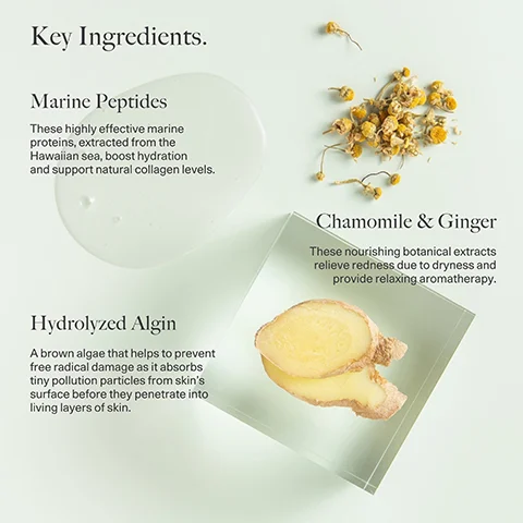 Image 1 - An image showing key ingredients for a skincare product, including marine peptides, chamomile, and ginger, with descriptive text about each ingredient and a background of light green and beige.