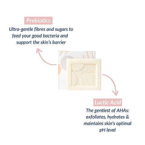 Prebiotics Ultra-gentle fibres and sugars to feed your good bacteria and support the skin's barrier, Lactic Acid, The gentlest of AHAS: exfoliates, hydrates & maintains skin's optimal pH level