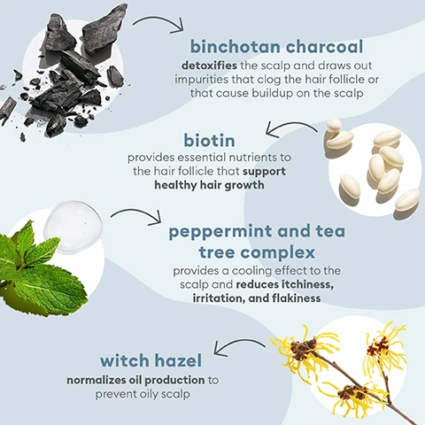 Image 1 - An infographic detailing hair care ingredients, including binchotan charcoal, biotin, peppermint and tea tree complex, and witch hazel, each with descriptions of their benefits for hair and scalp health.
Image 2 - Image features various products from the Briogeo Scalp Revival collection displayed on a pastel background, including a coconut half, a small bowl of charcoal, and visible text that reads Scalp Revival collection clinically proven to increase scalp hydration.