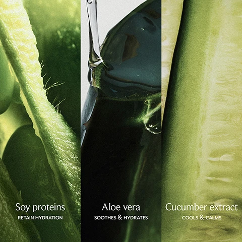 Image 1 - A close-up image features three vertical sections showcasing green plant ingredients: on the left, soy proteins with the text Soy proteins RETAIN HYDRATION; in the middle, aloe vera with Aloe vera SOOTHES & HYDRATES; and on the right, cucumber extract with Cucumber extract COOLS & CALMS.
Image 2 - Image shows two skincare products: a tube of Fresh Soy Face Cleanser labeled Cleanse and a jar of Fresh Rose Deep Hydration Face Cream labeled Moisturize, both on a light background with visible text describing the products.
Image 3 - A close-up of a womans face with wet hair, showcasing skin with a dewy appearance, accompanied by the text +10% hydration, even after rinsing.
Image 4 - Three tubes of Fresh Soy Face Cleanser in different sizes are displayed: a small travel size, a medium full size, and a large jumbo size, with text indicating the sizes and usage for all skin types.