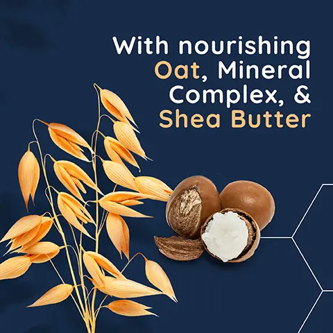 Image 1 - An arrangement of yellow oat leaves beside whole and halved shea nuts on a dark blue background with the text: With nourishing Oat, Mineral Complex, & Shea Butter.
Image 2 - A bottle of Aveeno Calm + Restore Rehydrating Night Cream is displayed with a light orange background and bullet points that state Dermatologist tested, For sensitive skin, and Fragrance free.
Image 3 - A close-up of a wooden seed held by tweezers against a dark blue background with hexagonal shapes, accompanied by the text that reads Intently nourishes & strengthens the skins natural barrier overnight.
Image 4 - A bottle of Aveeno Calm+ Restore Re-Hydrating Night Cream is shown, featuring a pump dispenser and surrounded by icons representing its qualities: rich & velvety texture, fast absorbing, and non-greasy, along with the text 50 ml.