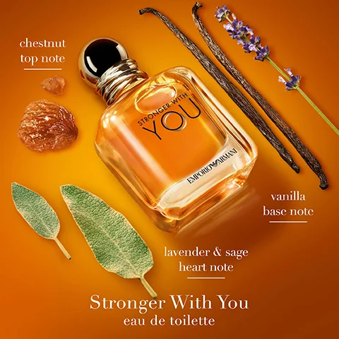 A bottle of Emporio Armani Stronger With You perfume sits on an orange background surrounded by chestnuts, vanilla pods, lavender, and sage leaves, with visible text reading chestnut top note, vanilla base note, lavender & sage heart note, Stronger With You eau de toilette, and on the bottle Stronger With You Emporio Armani.