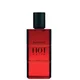 Davidoff Hot Water Woda toaletowa (110 ml)