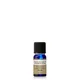 Neal's Yard Remedies Frankincense Essential Oil olejek eteryczny 10 ml