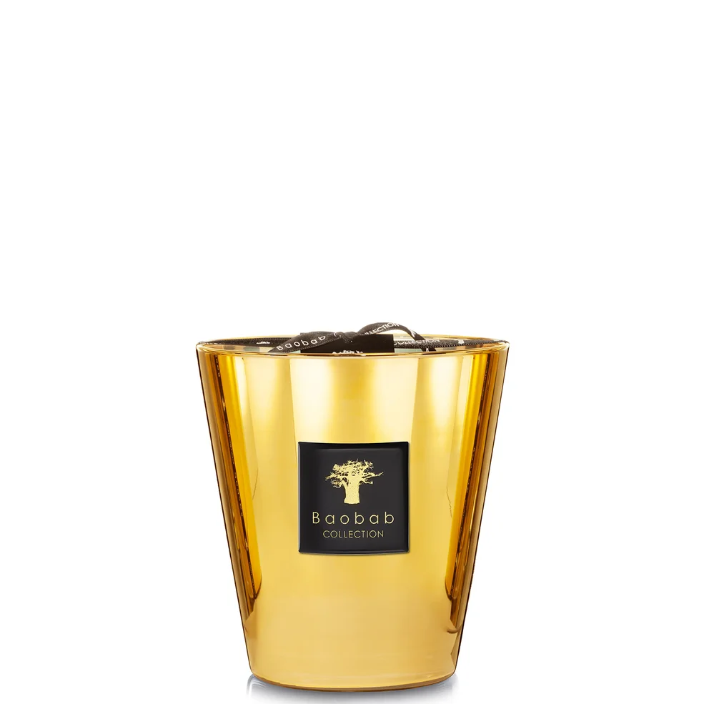 Kolekcja Baobab Max 16 Aurum Zdjęcie 1