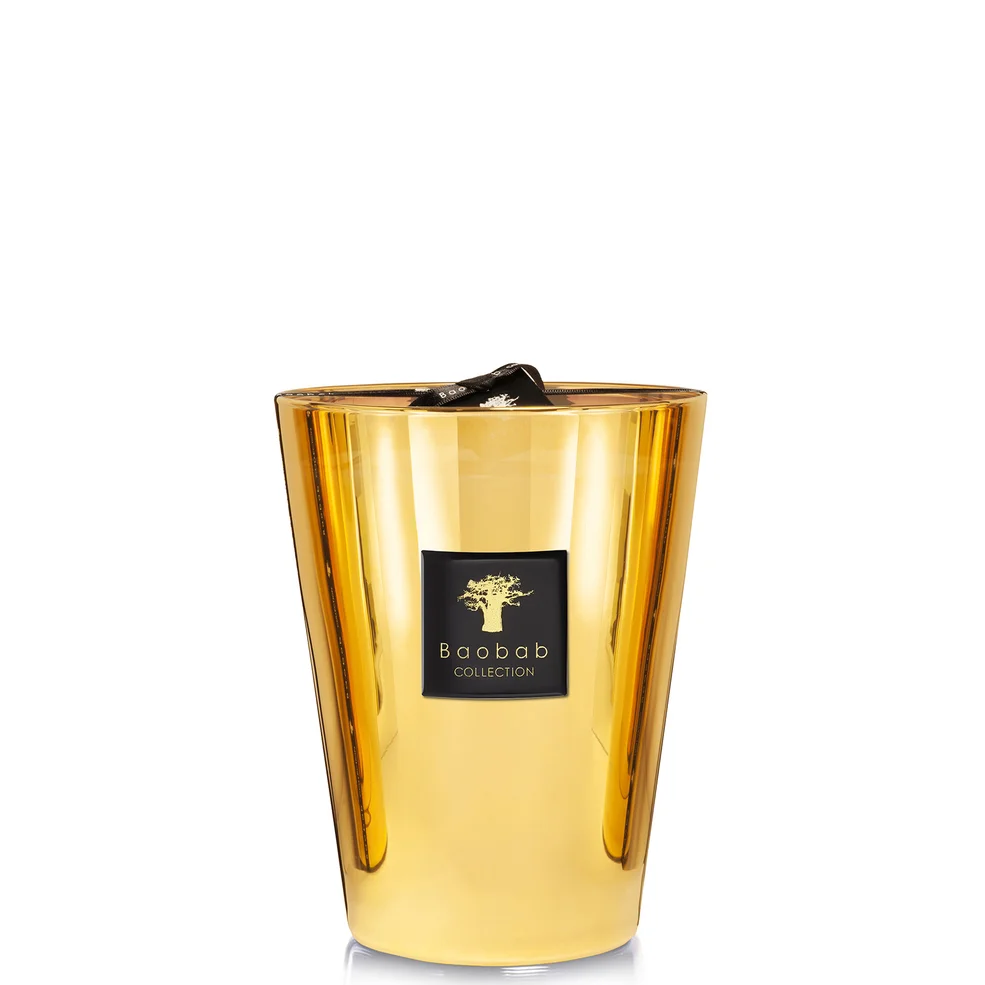 Kolekcja Baobab Max 24 Aurum Zdjęcie 1