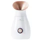StylPro Facial Steamer sauna parowa do twarzy
