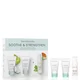 bareMinerals Soothe and Strengthen Skincare Set