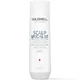 Goldwell Dualsenses Scalp Specialist Anti-Dandruff Shampoo 250ml
